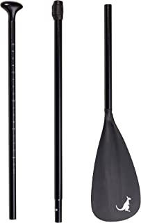 Meilleure Pagaie Pour Paddle - B08BS4PC2B
