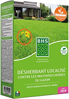 Meilleur Désherbant Gazon - B08QZ6RLGH