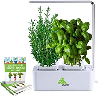 Meilleur Potager D'Intérieur