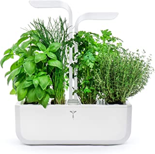 Meilleur Potager D'Intérieur